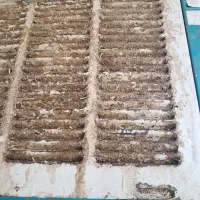 برقکار.منصف.مهندس برق.رفع قطعی برق.رفع اتصالی برق|خدمات پیشه و مهارت|فردیس, نیروگاه برق|دیوار