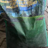 بذر چمن گرمسیری