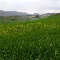 زمین-کشاورزی