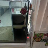 یک عدد آکواریم با سامپ بغل|ماهی|ورامین, ورامین|دیوار