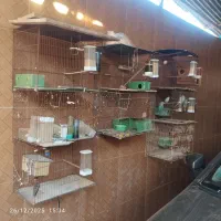 قفس پرنده وآب خوری ودون خوری