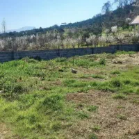 دو-پلاک-زمین-بافت-مسکونی-ویو-عالی-در-شمال-لفور