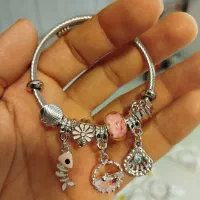 پاندورا استیل رنگ ثابت