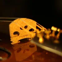 ویولن فونیکس MVZ301 E 4/4 (پایین ترین قیمت بازار)|ویولن|همدان, |دیوار