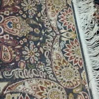 پادری ۵۰۰شونه|پادری|قم, علی آباد سعدگان|دیوار