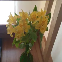 طراحی ساخت تعمیرات نصب کابینت کمد دیواری