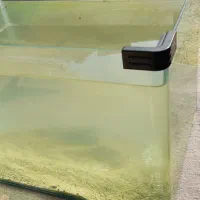 آکواریوم شرکتی