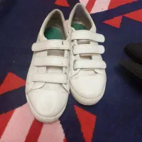 کفش مجلسی وورزشی اولی یکبار پوشیده شده|کیف، کفش، کمربند|تبریز, |دیوار