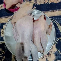 غازوبوقلمون ارگانیک هرکس خواست پیام بذارد|حیوانات مزرعه|اشنویه, |دیوار