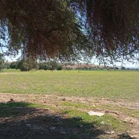 رهن و اجاره کارگاه سوله فاز دو شهرک اصناف محلات