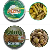 ویزیتور مویرگی