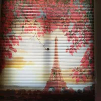 زبرا شید چاپی فروش 8ماهه