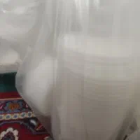 ظرف ۱کیلویی و دبه|ظروف نگهدارنده، پلاستیکی، یک‌بارمصرف|کرمان, |دیوار