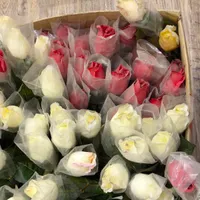 گل رز غنوه مصنوعی