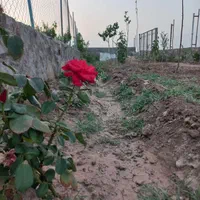 باغچه  حدودا ۲۰۰ متری در رو ستای شاه ابراهیم سیرو|فروش زمین و ملک کلنگی|قم, شاه ابراهیم|دیوار