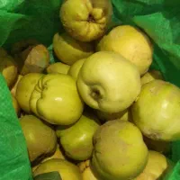 بهی|لباس|جوانرود, |دیوار