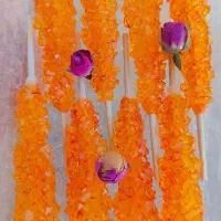 نبات های قلبی و چوبی دمنوشی مناسب فصل سرما|خوردنی و آشامیدنی|بندر امام خمینی, |دیوار