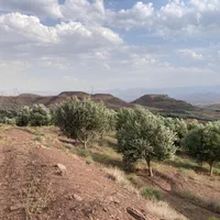 فروش ویلای ۱۰۰۰ متری با ۶۰ هکتار باغ زیتون|فروش زمین و ملک کلنگی|رودبار, |دیوار