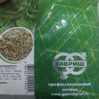 بذر شوید گاوریش