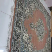 قالی ۹متری و۶متری|فرش|کارون, |دیوار