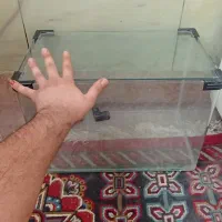 یه عدد اکواریوم شیشه خم