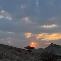 همخونه خانم