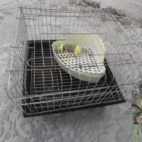 قفس خرگوش و خوکچه هندی