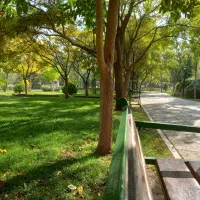 مشاوره مالی