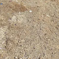 کود|گل و گیاه طبیعی|اهواز, ۲۴ متری|دیوار