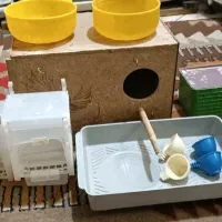 لوازم جانبی پرنده|لوازم جانبی حیوانات|تهران, افسریه شمالی|دیوار