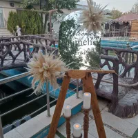 باغ تالار حجتی فرد و تشریفات الماس|خدمات پذیرایی، مراسم|قزوین, |دیوار