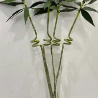 گلدان بلور بلند وبامبو