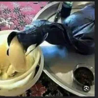 روغن حیوانی