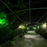 باغچه شهریار فول مبله