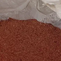 گندم بذر|لوازم جانبی حیوانات|رامشیر, |دیوار