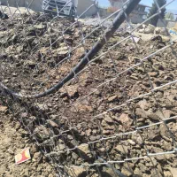 کود گوسفندی