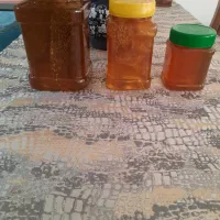 عسل طبیعی خلخال برای کوه سفید با موم طبیعی عسل|خوردنی و آشامیدنی|رشت, نظری|دیوار