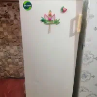 فریزر ایستاده