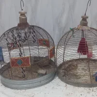 دوعدد سهره خاکی با قفس می فروشم