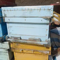 کندوی خالی زنبور عسل