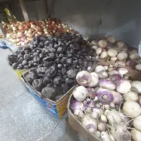 باره میوه وتره بار|خوردنی و آشامیدنی|تهران, حشمتیه|دیوار