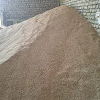 بذر گندم دیم