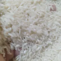 برنج ایرانی، بی واسطه از شالیکار بخرید|خوردنی و آشامیدنی|مشهد, عبادی|دیوار