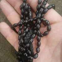 مکاوی اصل