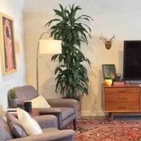 به یک خانم جهت نظافت منزل آقا ۷۰ساله