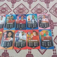 کارت های اف سی و ماینکرفت