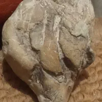 فروش|کلکسیون اشیاء عتیقه|تهران, سجاد|دیوار