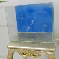 آکواریوم شرکتی