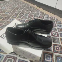 کفش مجلسی|کیف، کفش، کمربند|دورود, |دیوار