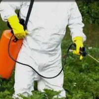 سمپاشی و خدمات باغبانی